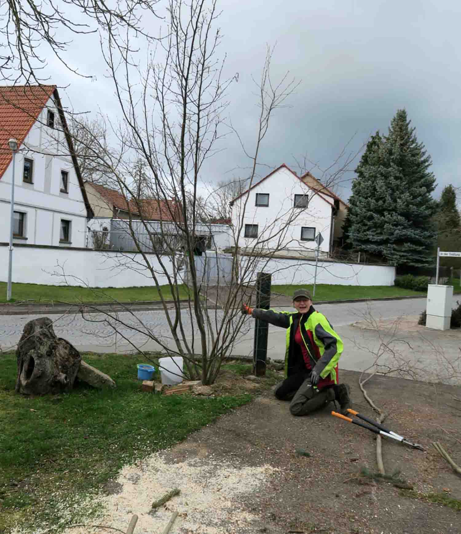 Ein neuer Osterstrauch für Niedersynderstedt